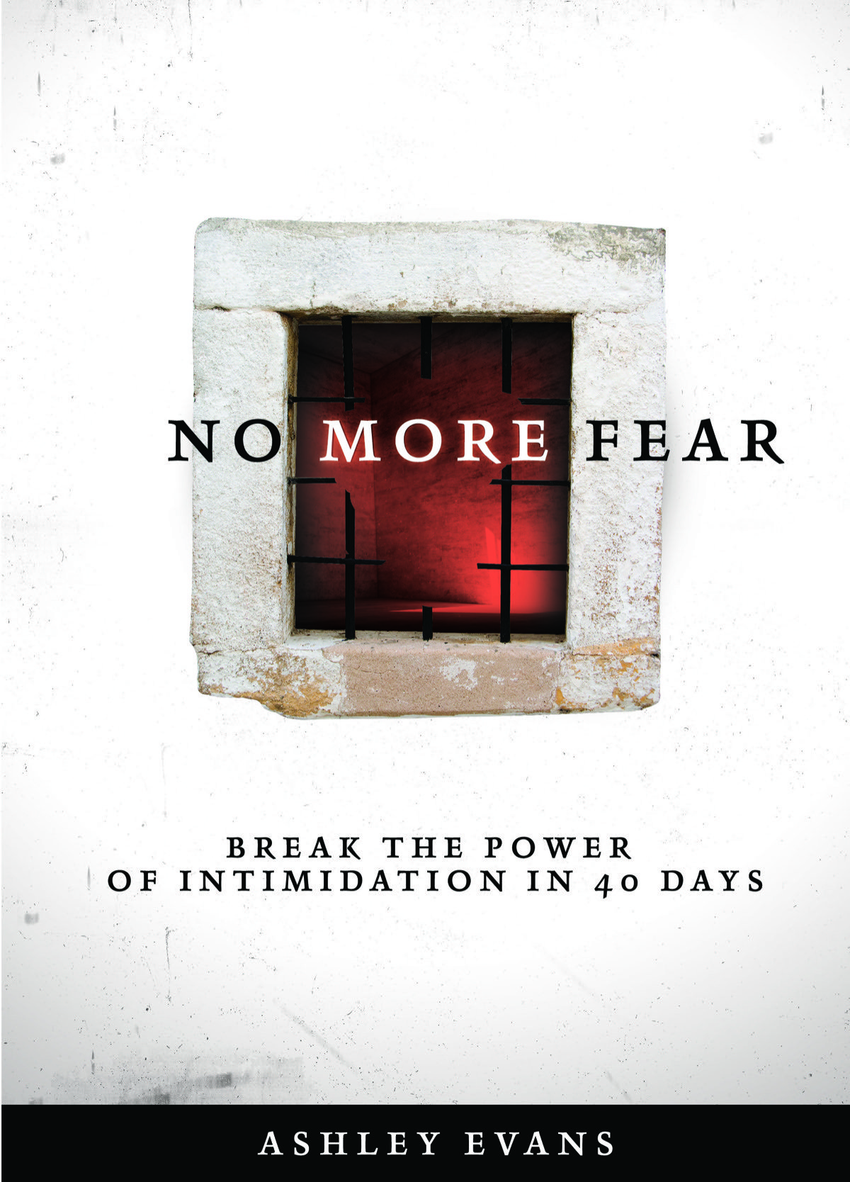 No More Fear by Ashley Evans