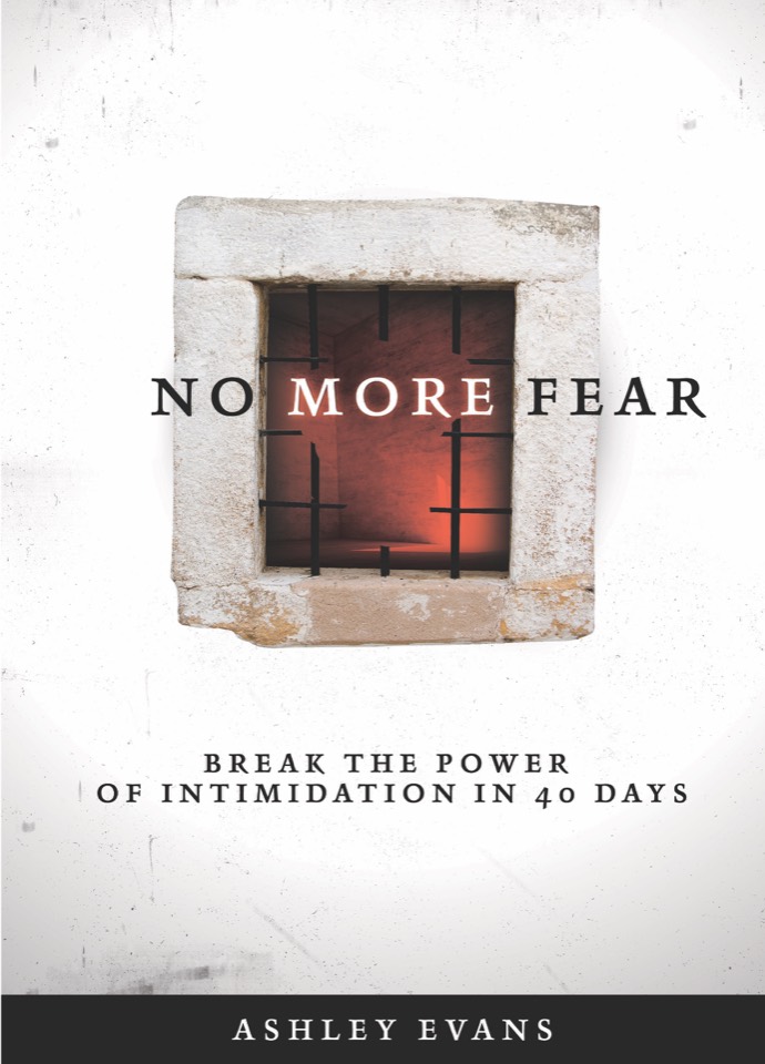 No More Fear, the cover